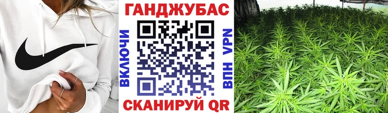 Бошки Шишки семена  маркетплейс наркотические препараты  Анадырь 